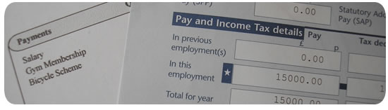 Standard payroll service